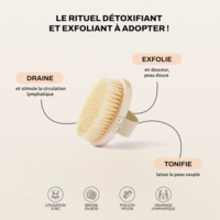 Brosse à Sec Corps