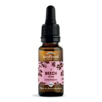 Fleur de Bach Beech N°3 Bio