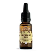 Fleur de Bach Chestnut Bud N°7 Bio
