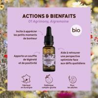 Fleur de Bach Agrimony N°1 Bio