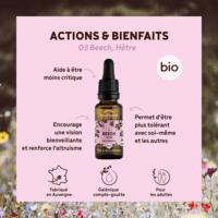 Fleur de Bach Beech N°3 Bio