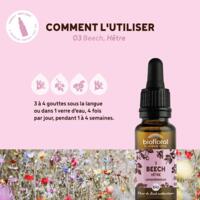Fleur de Bach Beech N°3 Bio