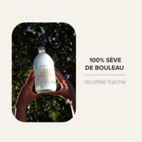 Sève de Bouleau Pure Bio