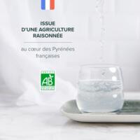 Sève de Bouleau Pure Bio