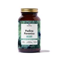 Padina Pavonica
