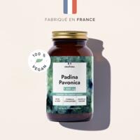 Padina Pavonica