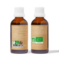 Pommier Bourgeons Bio