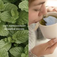 Tisane Menthe Poivrée Bio