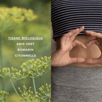 Tisane Détox Foie Drainage Bio