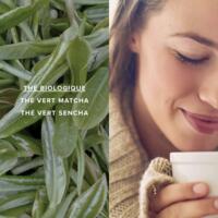 Thé vert Matcha Suprême Bio