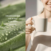 Thé blanc Aloe Vera Bio