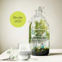 Sève de Bouleau Pure Bio