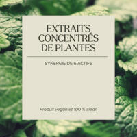 Complexe Ventre Plat