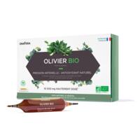 Olivier Bio