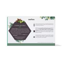 Aubier de Tilleul du Roussillon Bio