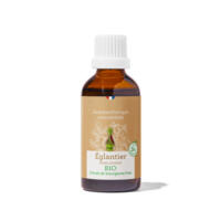 Églantier Bourgeons Bio