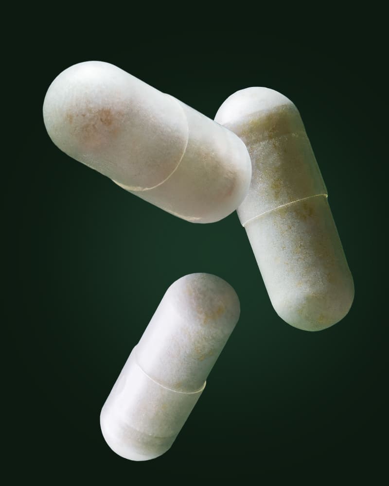TOUS LES FERMENTS NE SE VALENT PAS. VOICI POURQUOI.