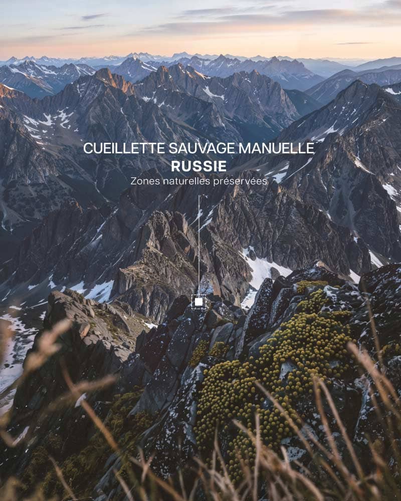DES MATIÈRES PREMIÈRES CHOISIES À LA SOURCE