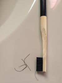 Brosse à dents tête rechargeable bambou - Medium